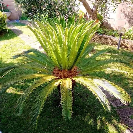 Studio In With Terrace And Wifi 500 M From The Beach Διαμέρισμα Κρότωνας